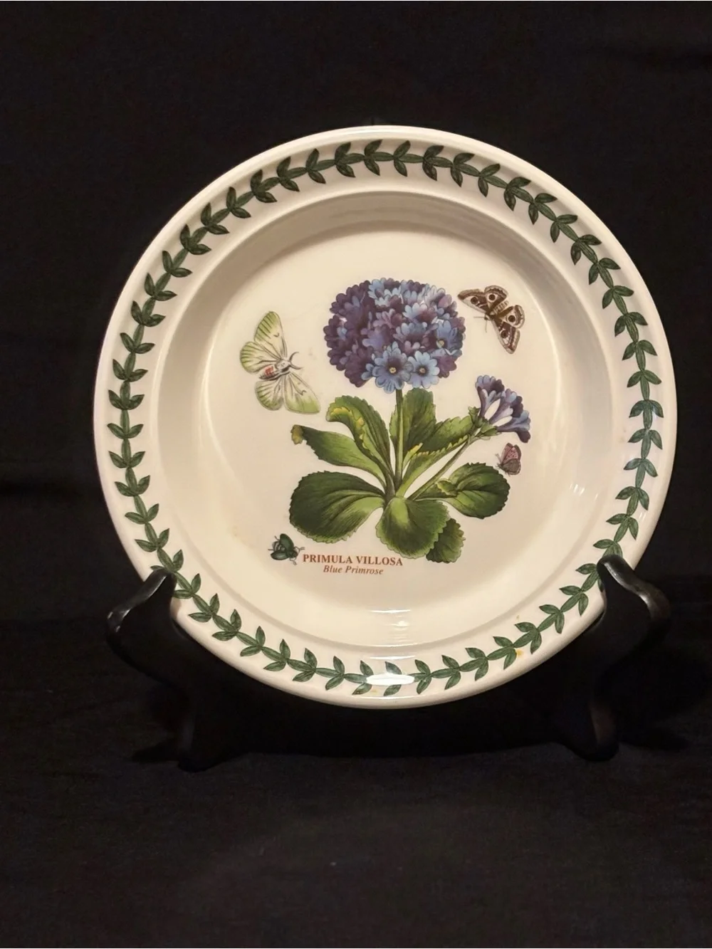 Portmeirion Botanic Garden Primula Villosa 7” Side Plate